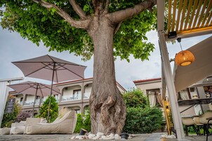 Bar (en la propiedad)