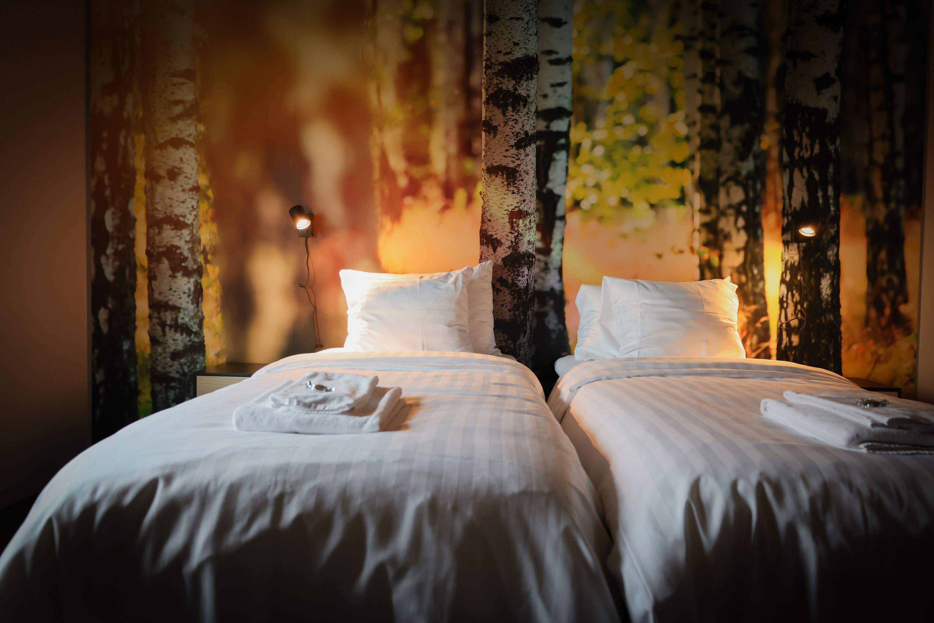 1 bedroom, soundproofing, free wifi, bed sheets