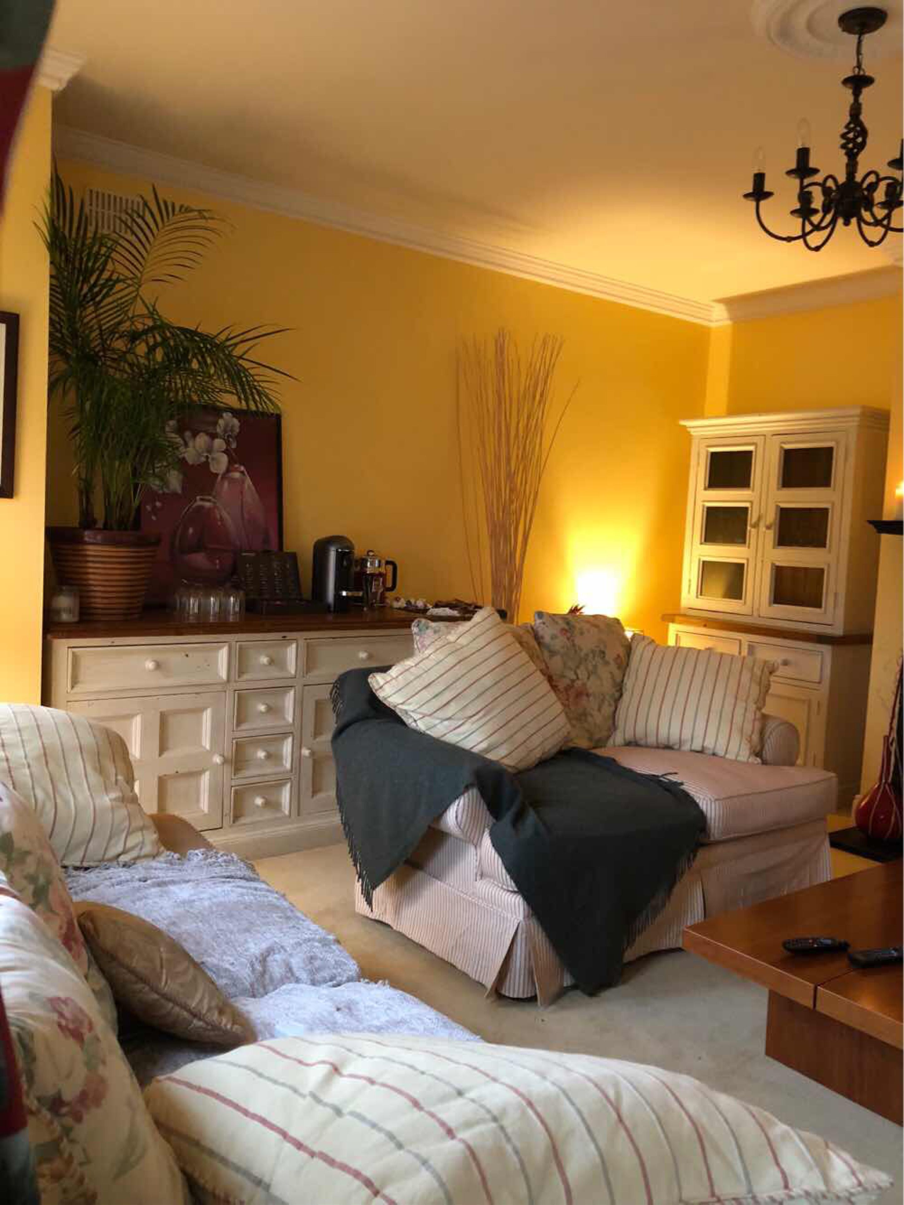 A cozy living room with a sofa, a coffee table, a cabinet, and a potted plant.
