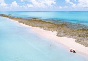 On the beach, sun loungers, beach umbrellas, beach bar
