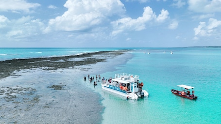 On the beach, sun loungers, beach umbrellas, beach bar