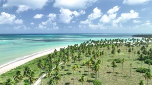 On the beach, sun-loungers, beach umbrellas, beach bar - Japaratinga Lounge Resort (Japaratinga)