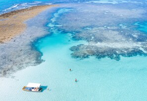 Sulla spiaggia, lettini da mare, ombrelloni, un bar sulla spiaggia