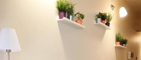 Individually decorated, individually furnished, desk, blackout drapes