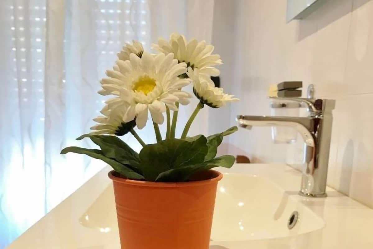 Shower, free toiletries, hair dryer, bidet