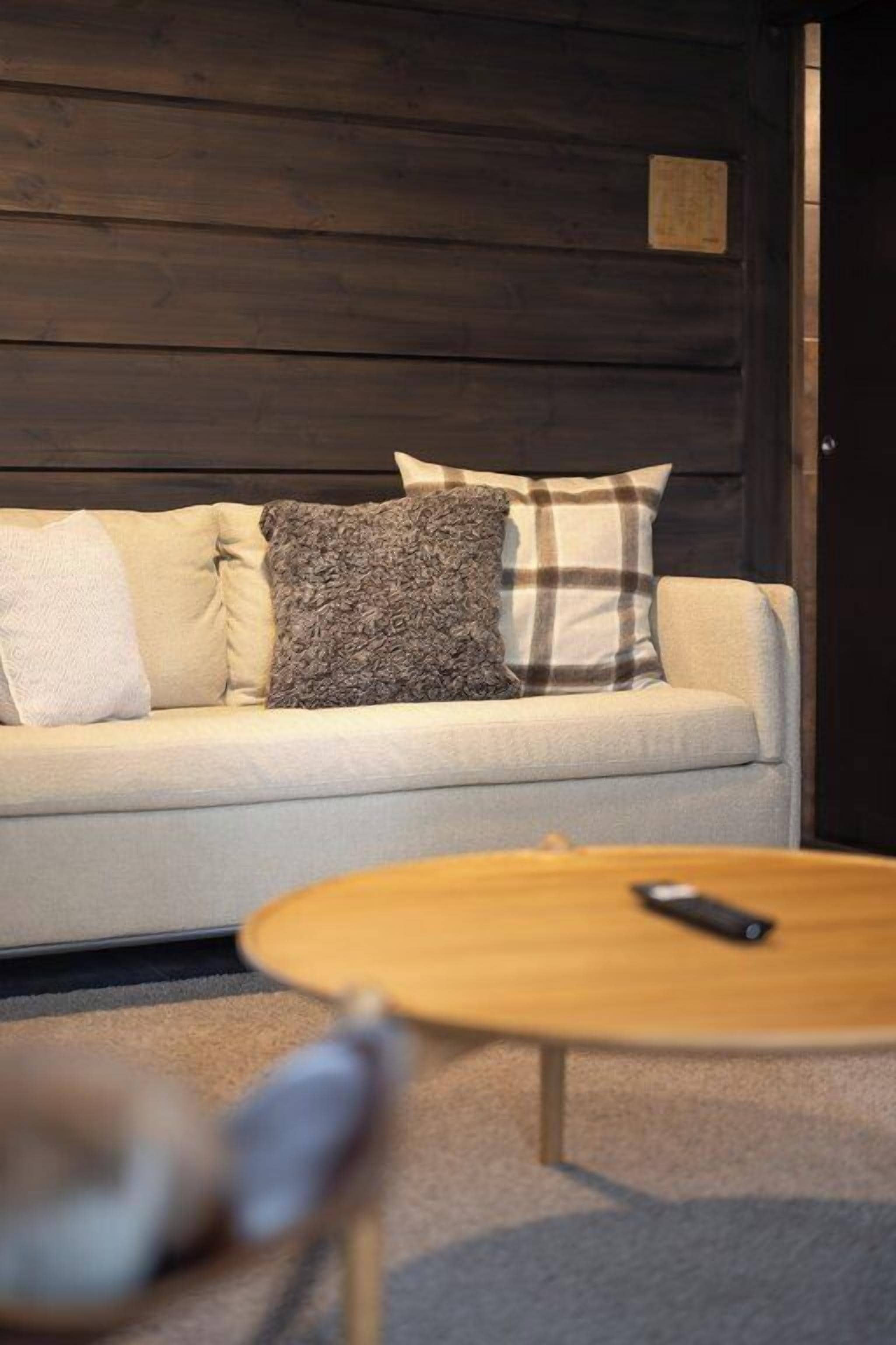 arctic glasshouse | living area | 32-inch smart tv with satellite channels, tv, mp3 dock