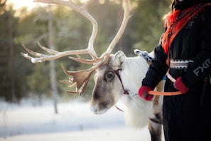 Majoituspaikan julkisivu