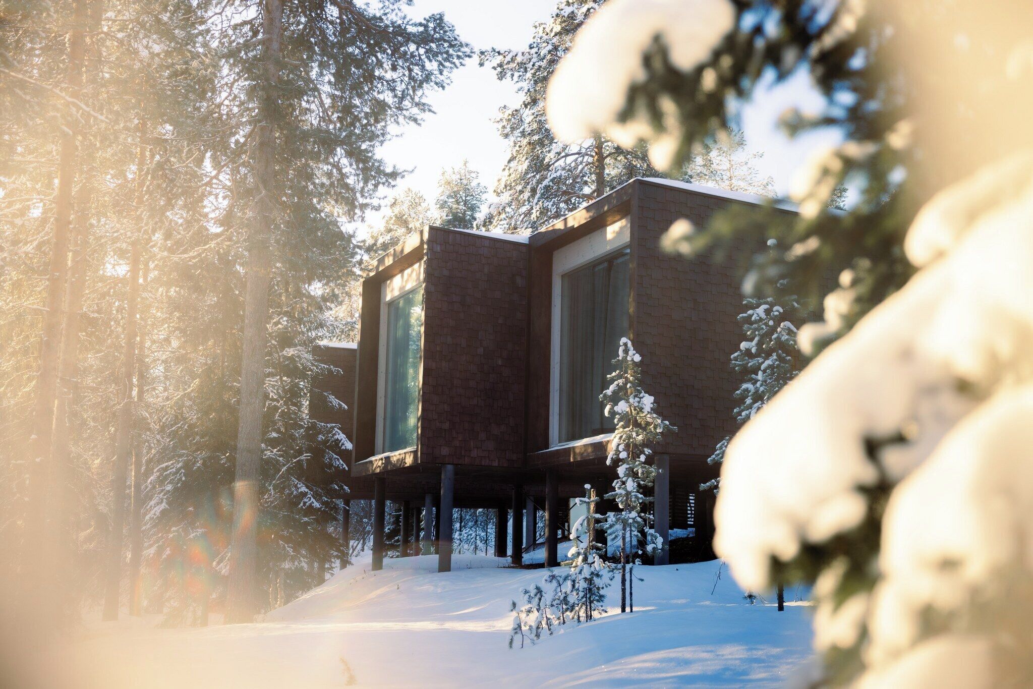 Foto - Arctic TreeHouse Hotel