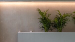 Un espace spa moderne avec une piscine rectangulaire, un mur de couleur claire et deux plantes en pot.