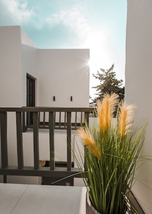 A modern building with a balcony, a potted plant with tall grass, and a clear sky.
