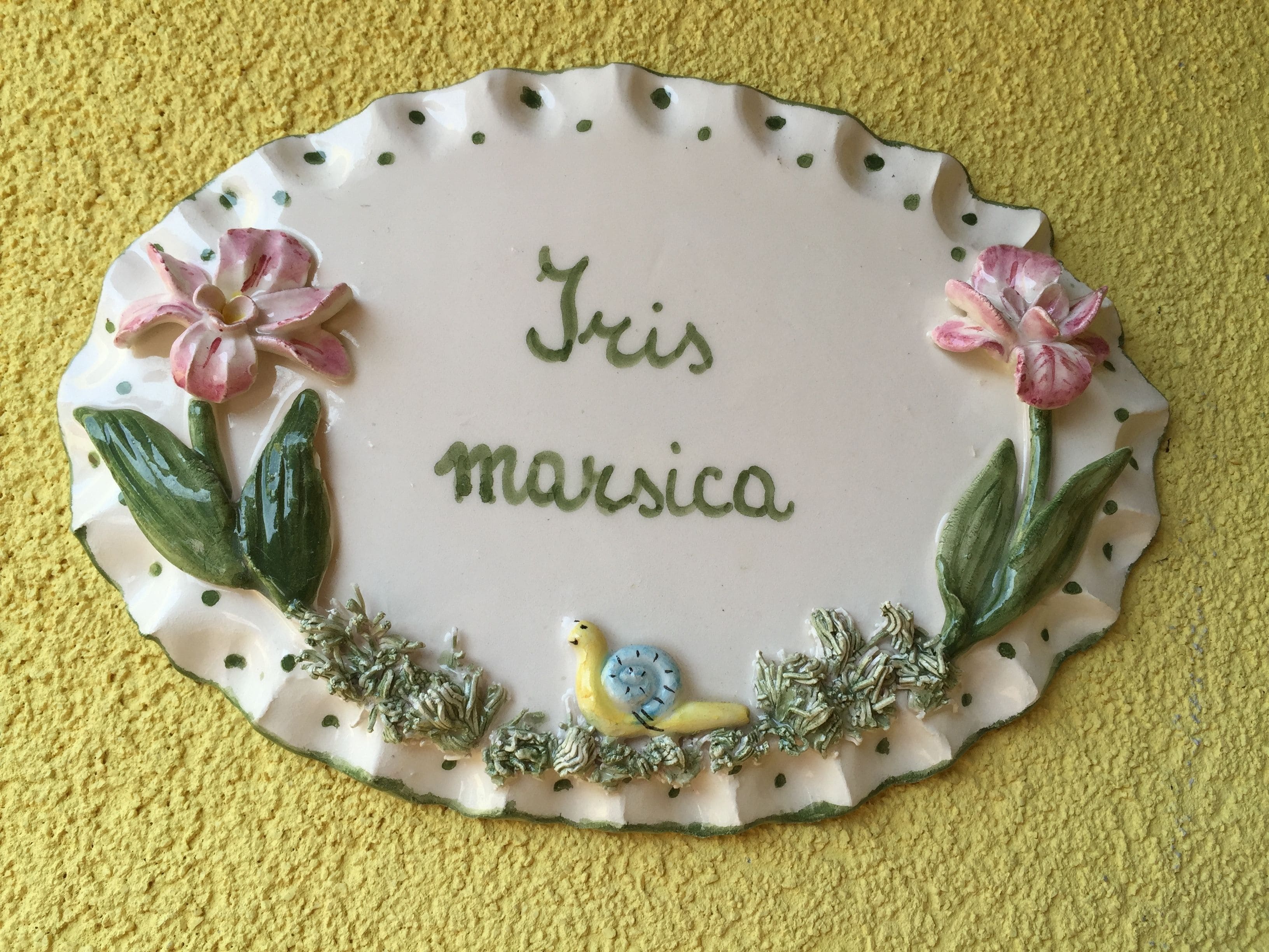 Une assiette en céramique ornée de motifs floraux, sur laquelle est inscrit le nom « Iris Marsica ».