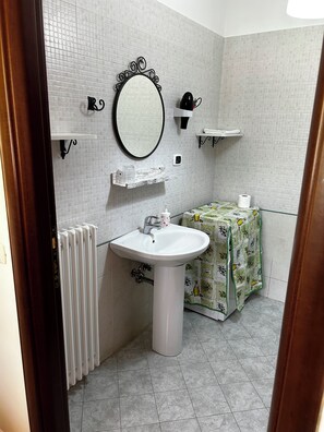 A bathroom with a white sink, a mirror with a decorative frame, a radiator, and a toilet with a green floral cover. - 4Flats Orto di Venanzio (Barrea)