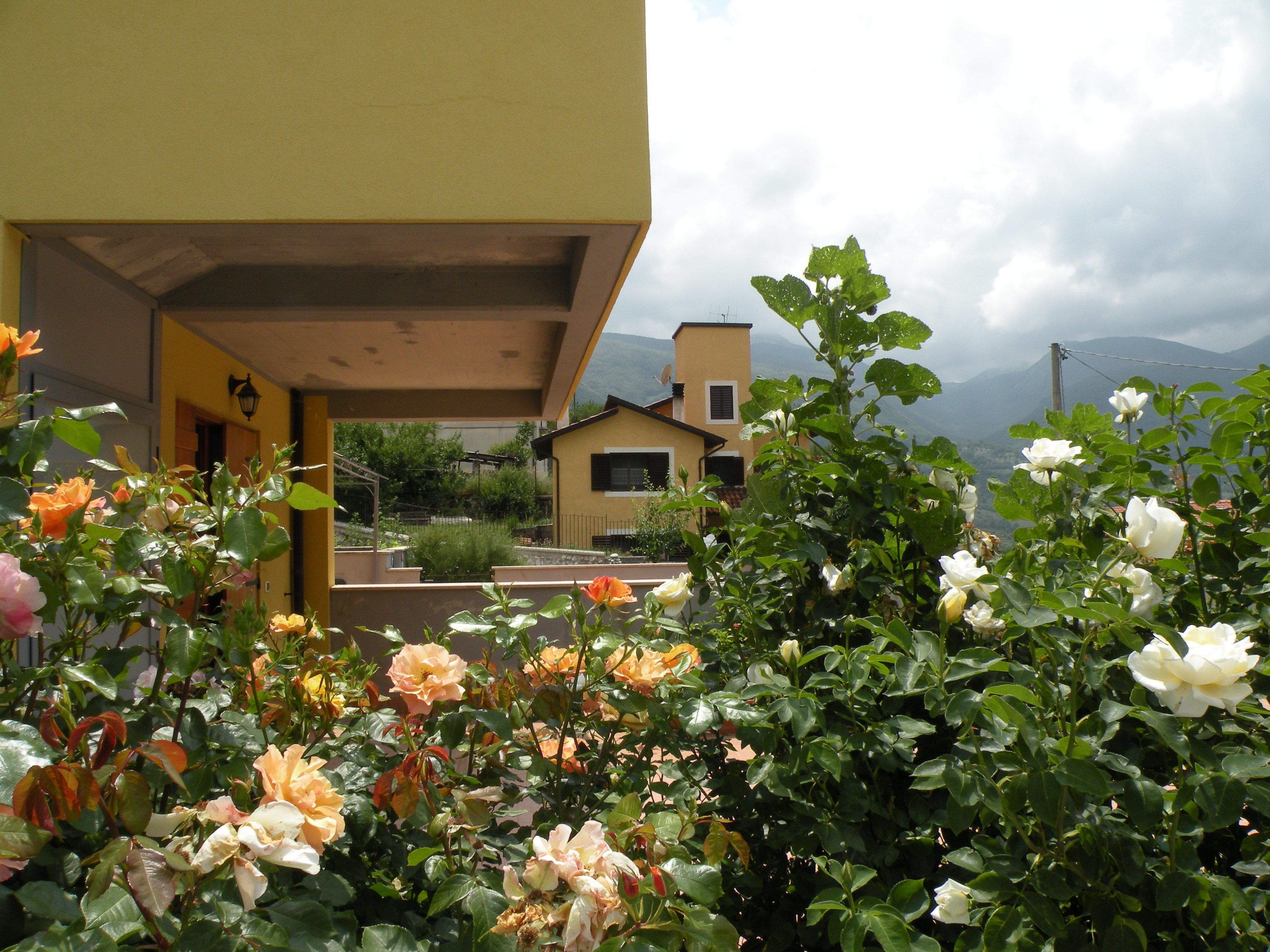 Superior-Apartment, Mehrere Betten, eingeschränkter Seeblick | Blick auf den Garten