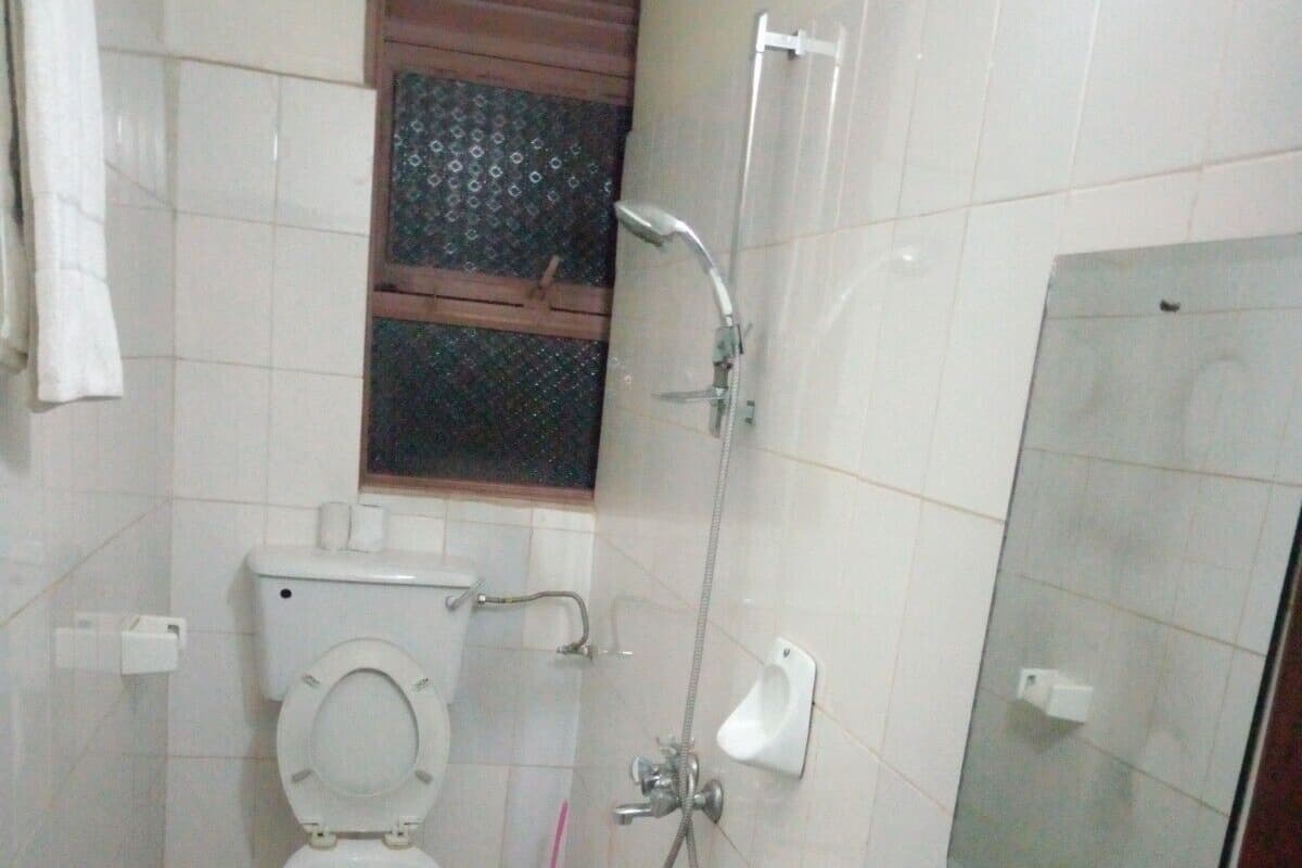 Shower, hydromassage showerhead, free toiletries, hair dryer