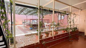 Shower, hair dryer, bathrobes, slippers