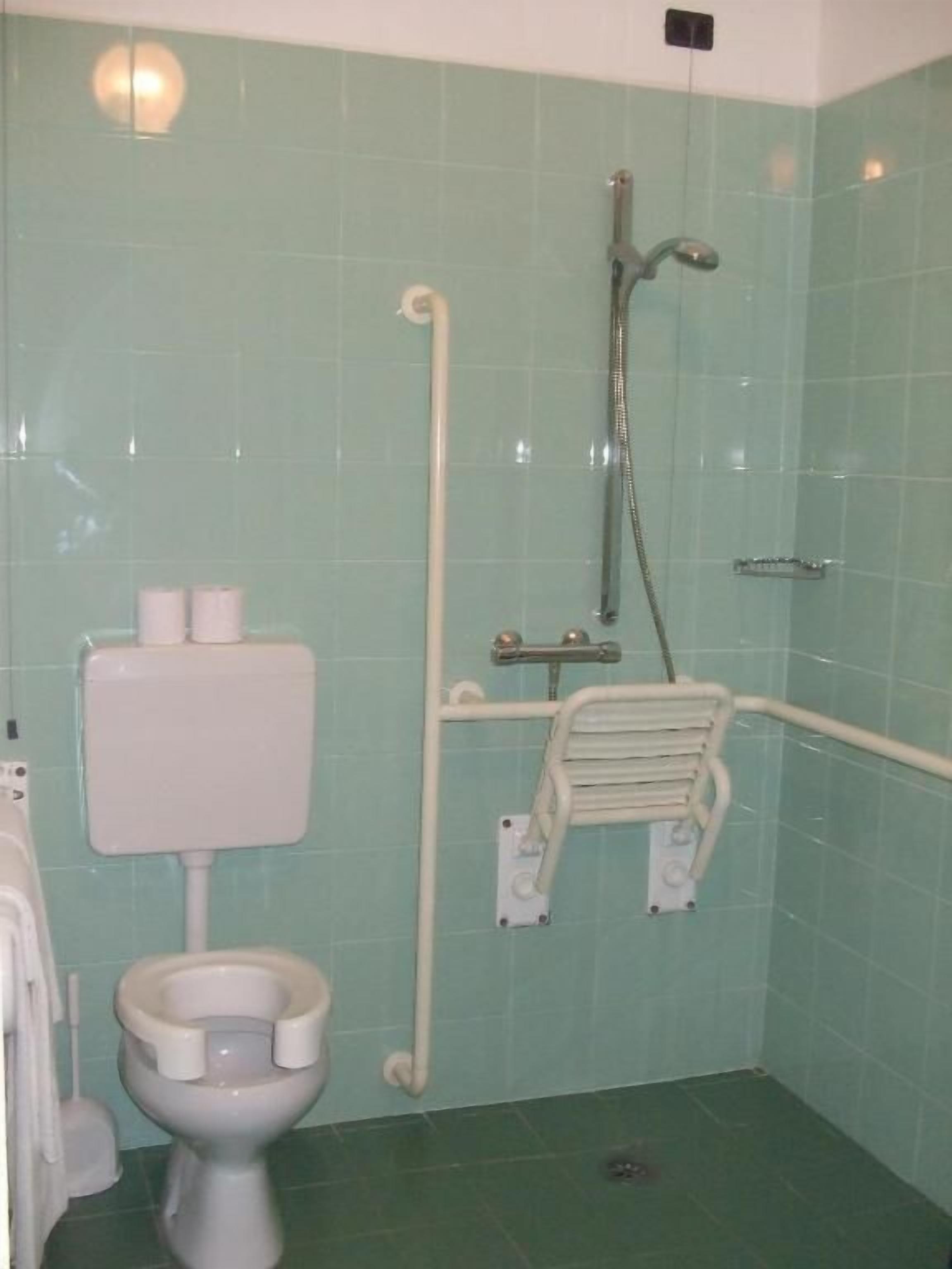 A small bathroom with a toilet, a shower, and a grab bar.