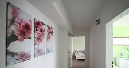 Ferienwohnung Hürth Mitte