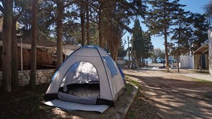 A camping area with a tent set up on a dirt ground, surrounded by trees and a stone wall. - Krios Beach Camping (Paros)