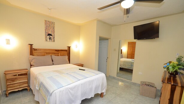 A bedroom with a bed, bedside tables, a ceiling fan, a TV, and a mirror. - Cozy Locale Inn (Port Antonio)