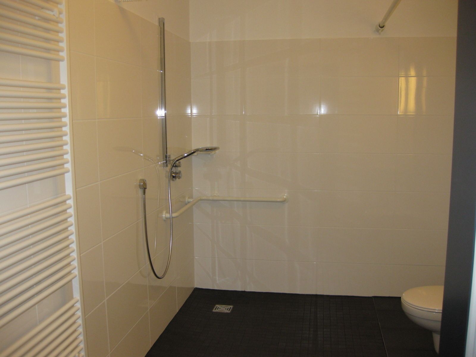 comfort double room, 1 queen bed, accessible | bathroom shower