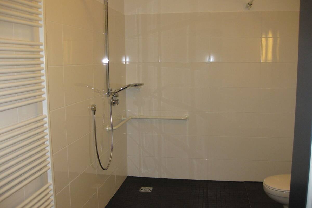 comfort double room, 1 queen bed, accessible | bathroom shower