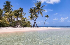 A beach with clear turquoise water, white sand, and palm trees.