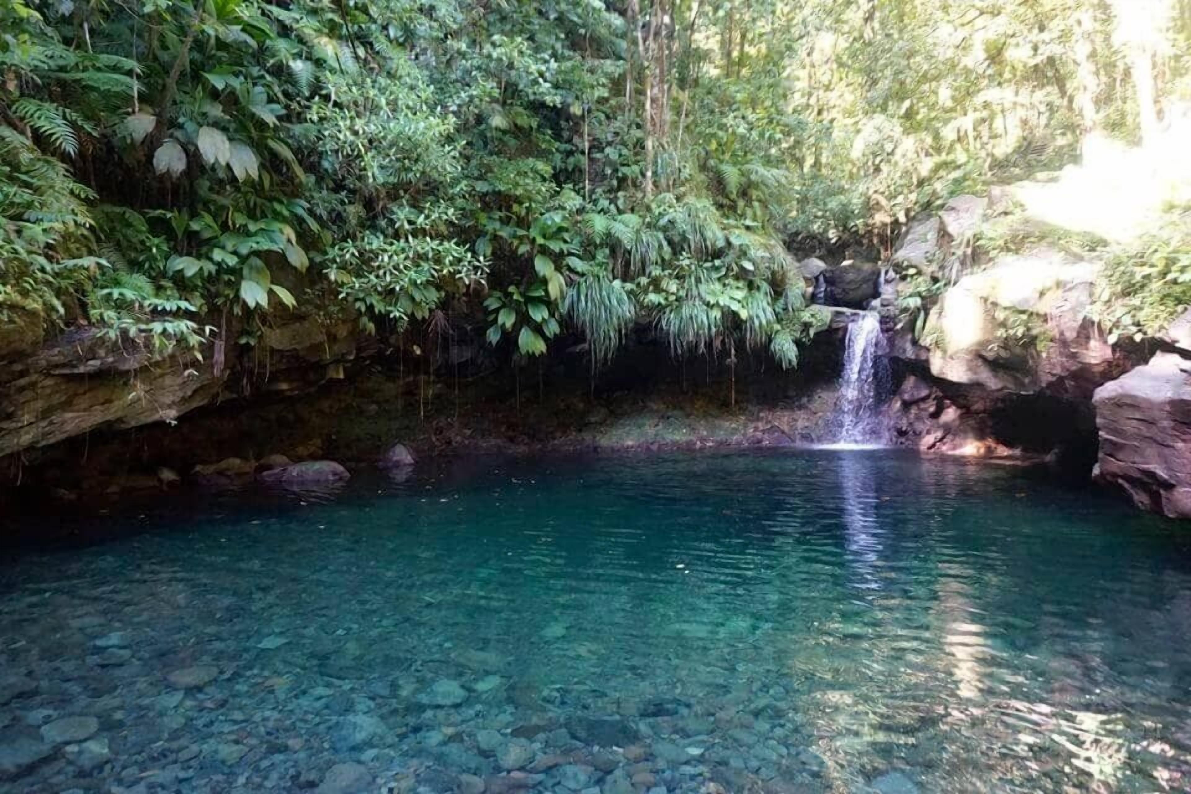 Une piscine naturelle entourée de rochers et d’une végétation luxuriante, avec une cascade qui s’y déverse.