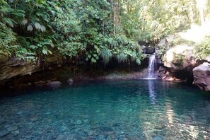 A natural pool surrounded by rocks and lush greenery, with a waterfall cascading into it.