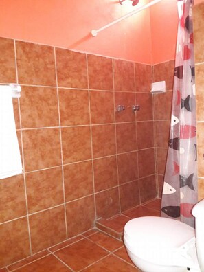 Ducha, cabezal de ducha tipo lluvia, artículos de tocador gratuitos
