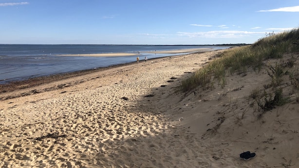 A sandy beach with a clear sky and calm sea.