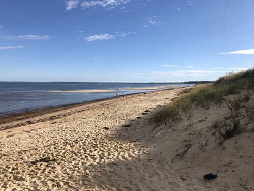 5BR Brewster Home - Private Pond Beach - Cape Rail Trail Access