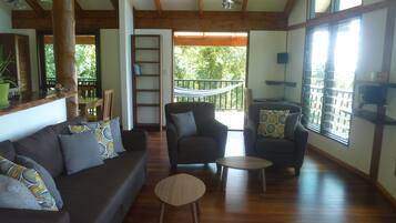 Tv, ett musikbibliotek och en stereo