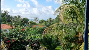 A lush garden with various plants and flowers, a wooden fence, and a view of houses and the sea in the background. - House in Cumuruxatiba prox. Cliffs, mezzanine and spacious suite, sea view  (Prado)
