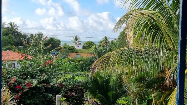 Un jardin luxuriant, avec une variété de plantes et de fleurs, une clôture en bois et, en arrière-plan, une vue sur des maisons et la mer.