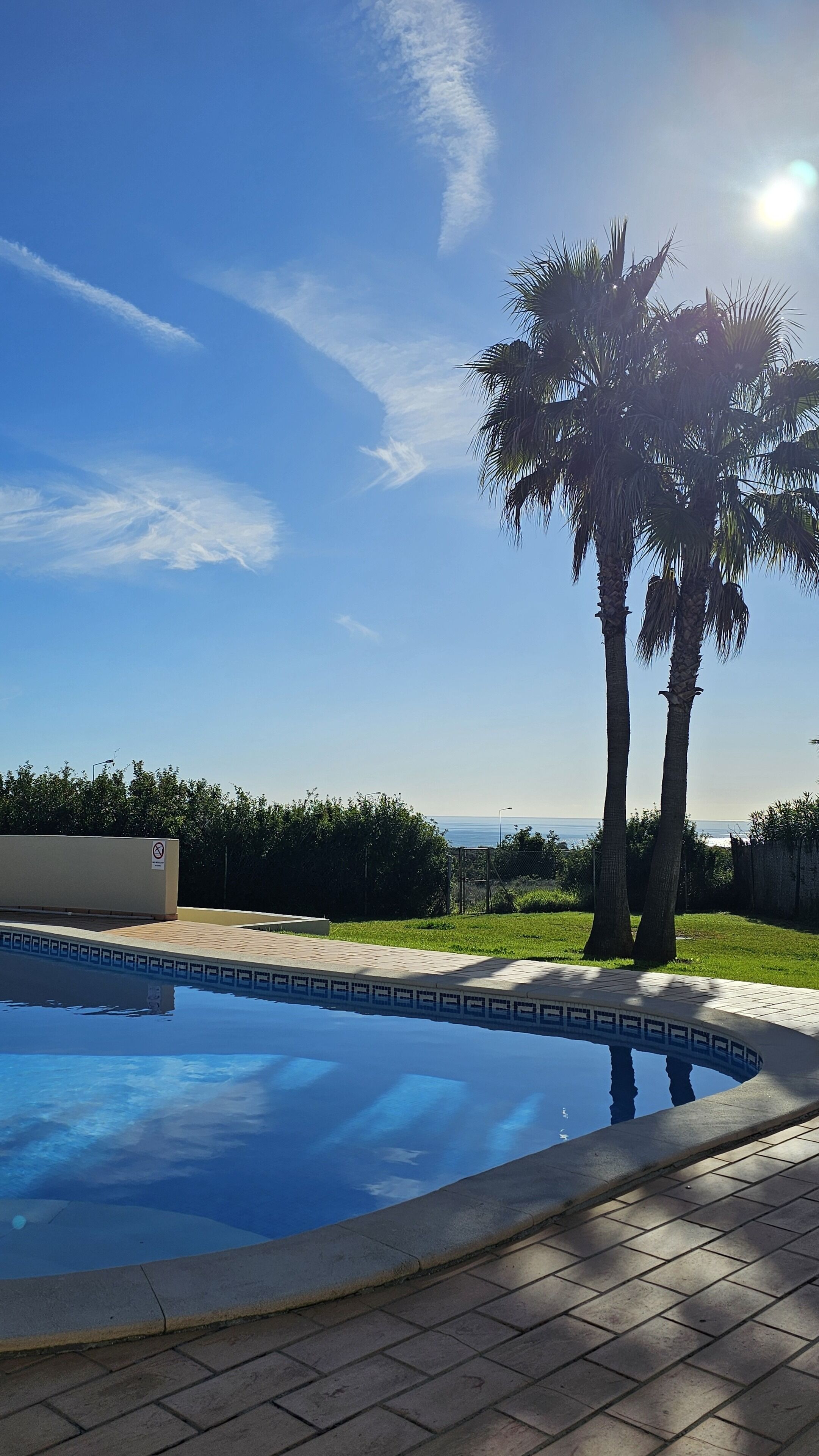 A swimming pool with a tiled edge, surrounded by a paved area and palm trees.