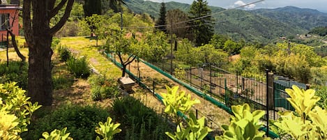 A lush garden with a variety of plants and trees, a fenced area, and a view of distant mountains.