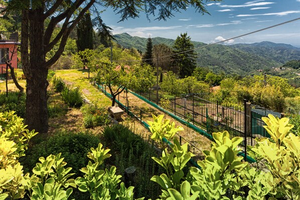 A lush garden with a variety of plants and trees, a fenced area, and a view of distant mountains.