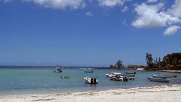 Serviettes de plage