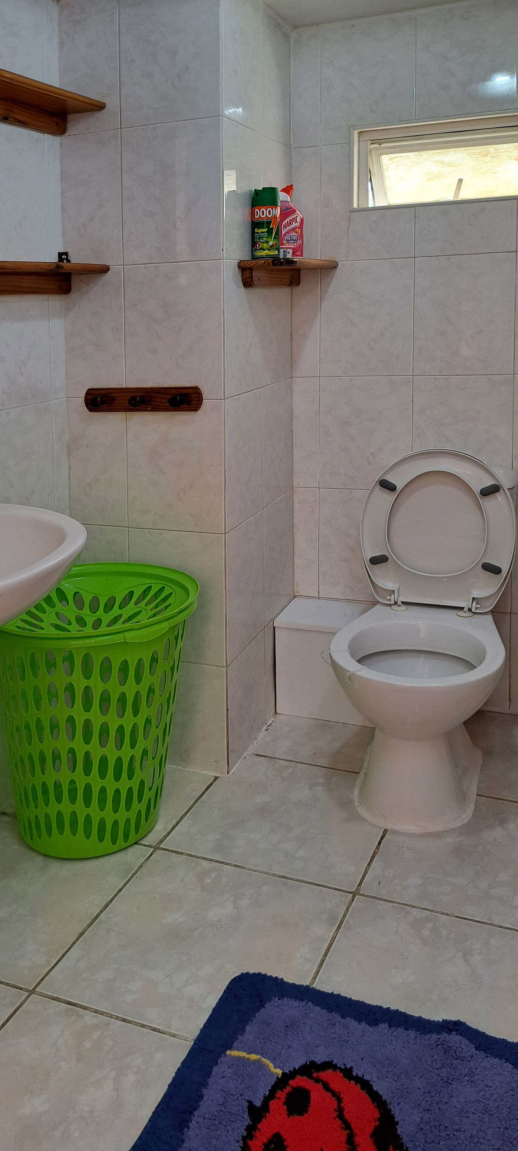A bathroom with a toilet, a green basket, a shelf with cleaning supplies, and a blue rug.