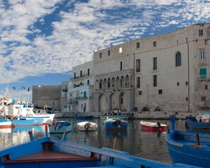 Marina - Very comfortable apartment with sea view terrace FREE WI-FI (Monopoli)