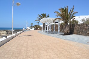Terras