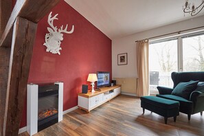 Televisio, takka, DVD-soitin, stereot