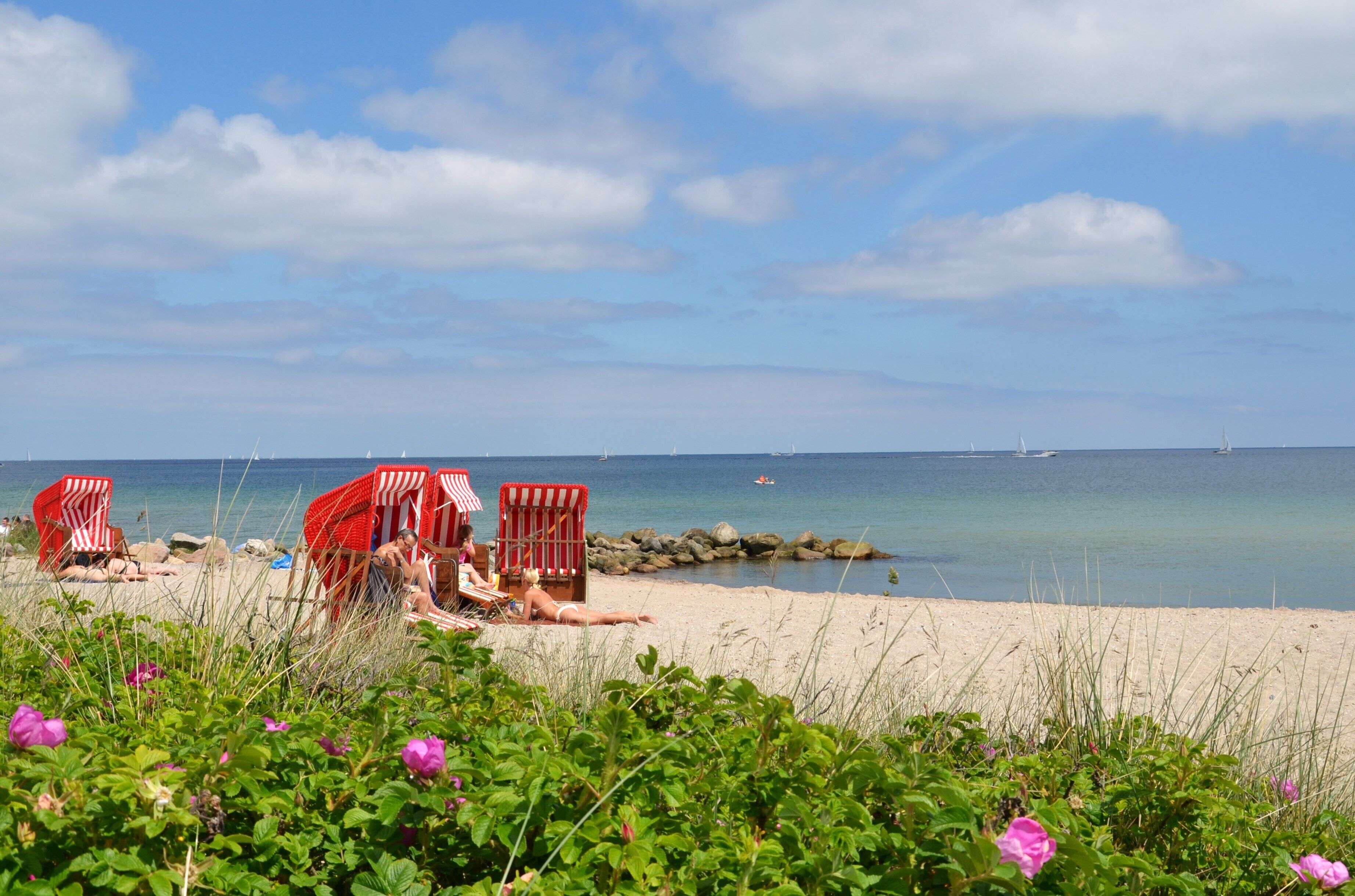Beach nearby, sun-loungers