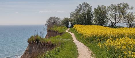 المنطقة المحيطة بالمنشأة