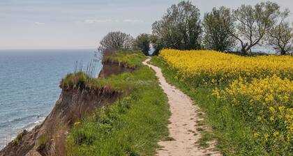 Ferienhaus SUENNHUUS mit GLASFASER, WALLBOX, Sauna und Kamin an der OSTSEEKÜSTE