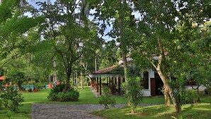 A stone pathway leading to a traditional building with a tiled roof, surrounded by lush greenery and trees. - Near Galle, recent colonial house, 3 bedrooms, large swimming pool in the park (Galle)
