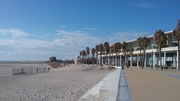 Un paseo marítimo en la playa con un sendero de arena, palmeras y un edificio moderno con grandes ventanales.