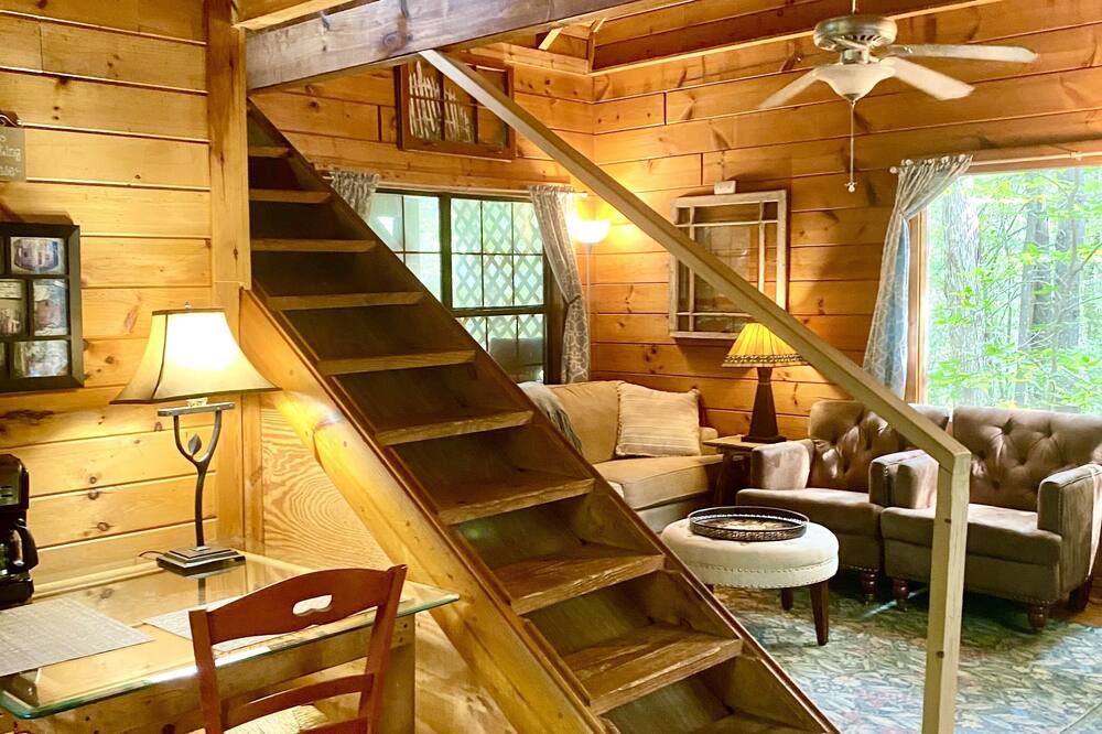 Log! Tiny home.Pond view.Owner built.Old growth secluded woods yet near town.