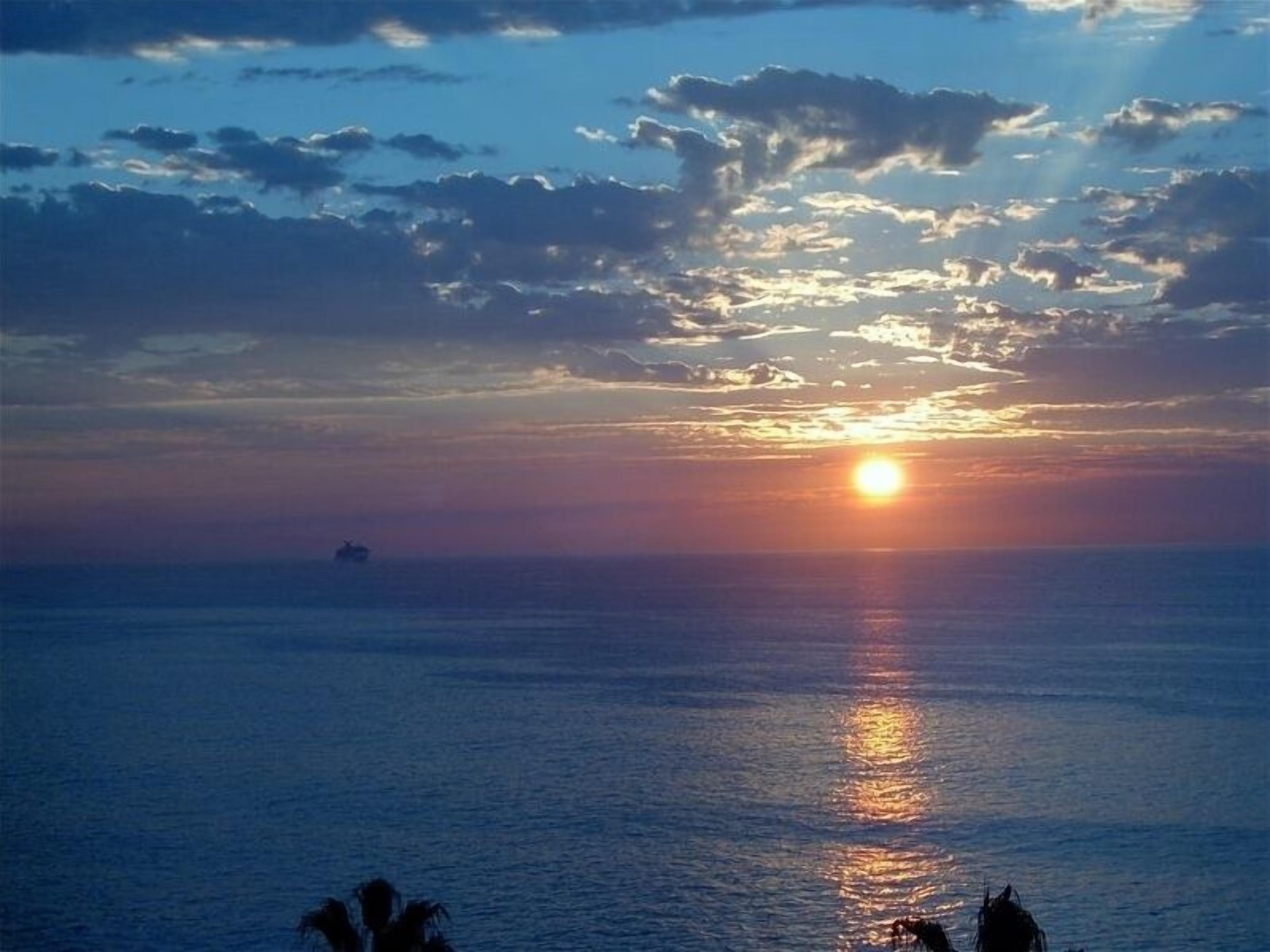 A sunset over a calm sea with a ship in the distance and silhouettes of palm trees.