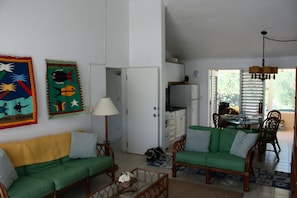TV, DVD player, books, music library